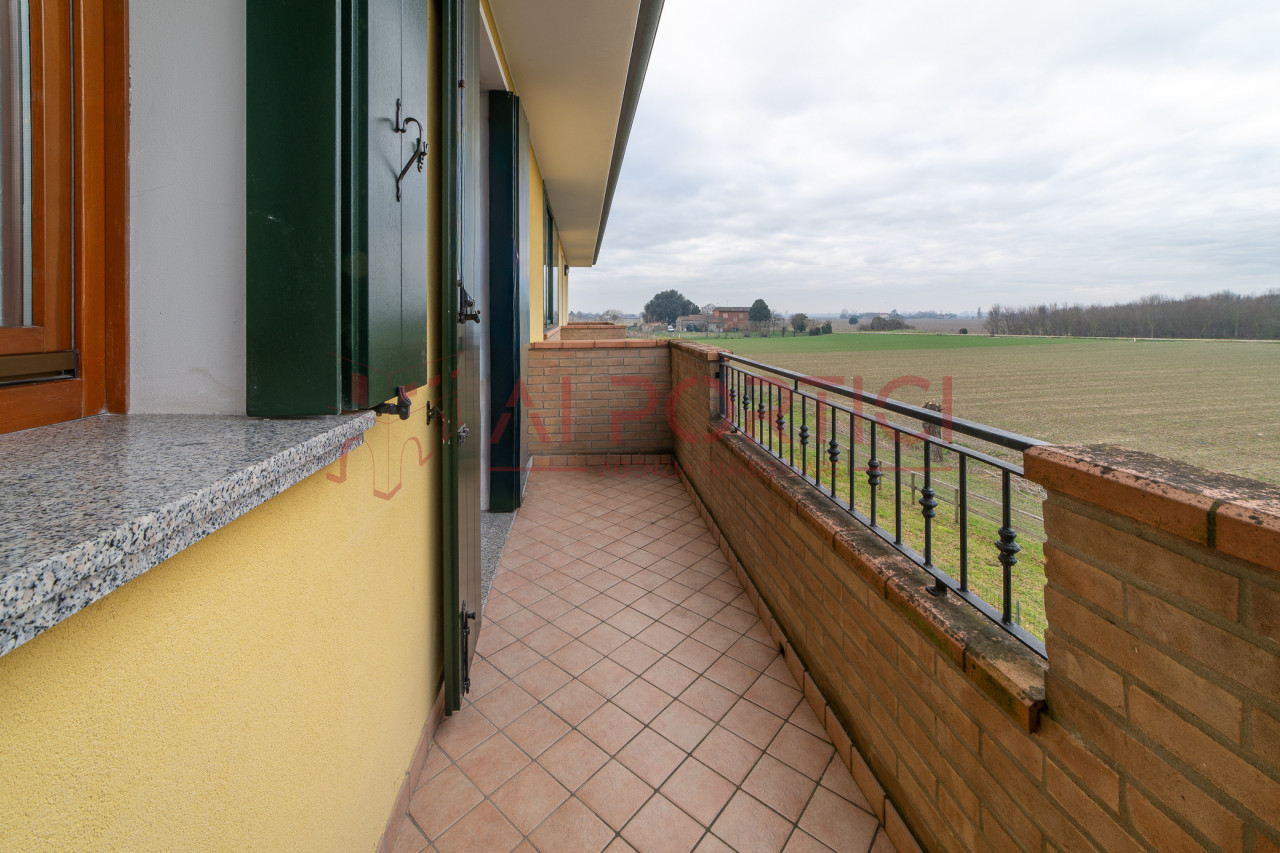 Foto Appartamento Codevigo (Padova)