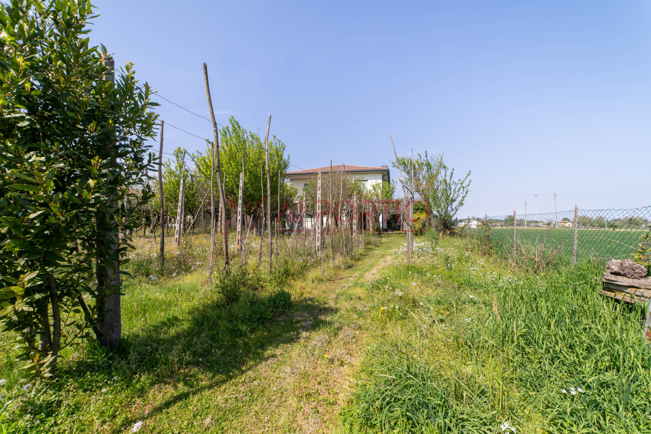 Foto Casa singola Arzergrande (Padova)