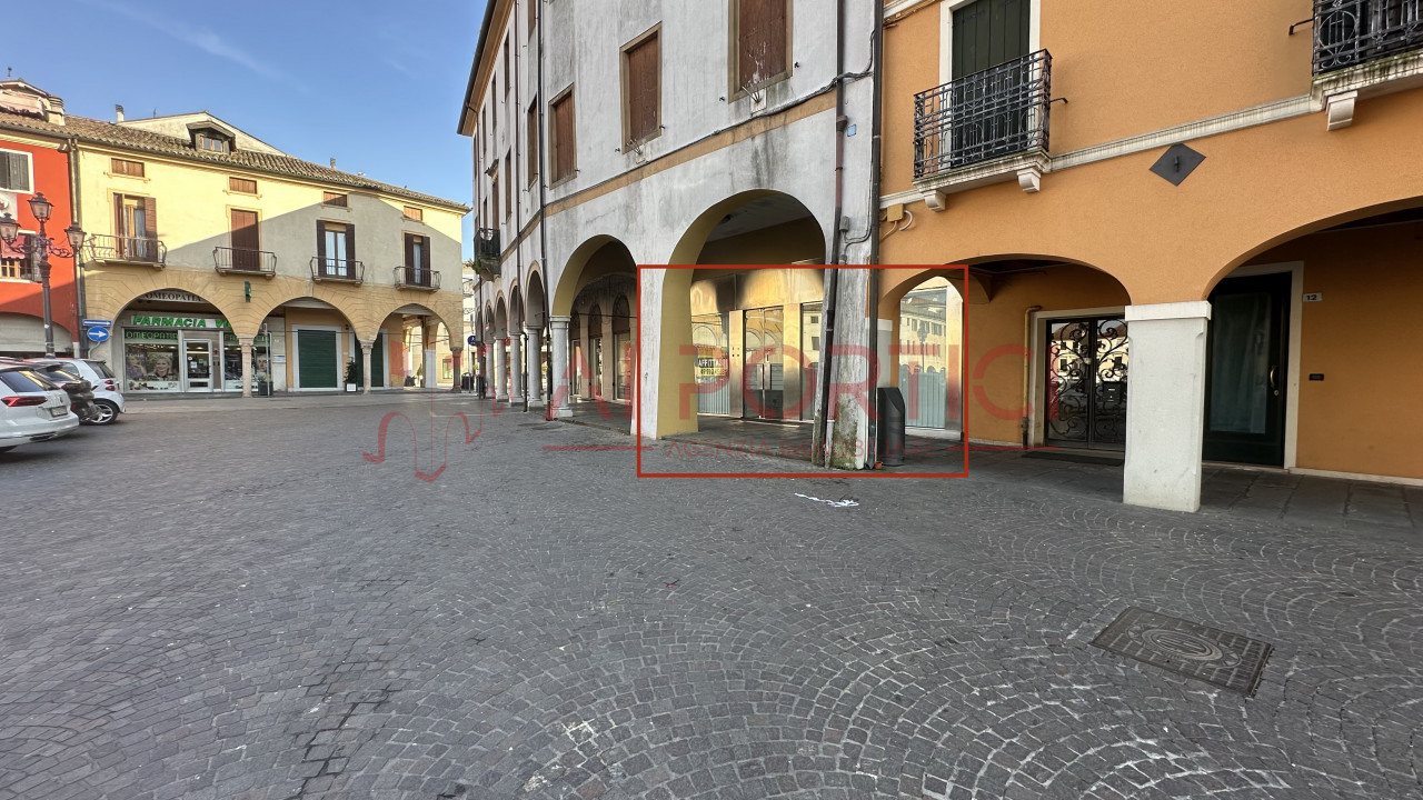 Foto Negozio Piove di Sacco (Padova)